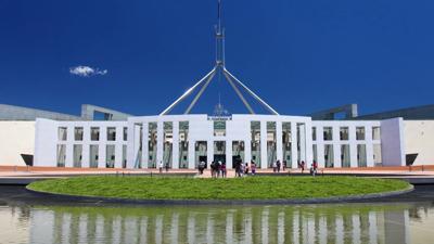 Green forest canopy, sunlight filtering through leaves.