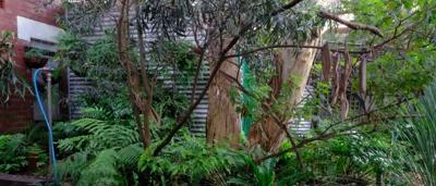 Garden with green plants and flowers, stone path, and wooden fence.