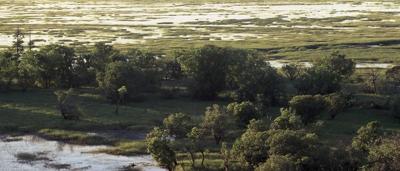 Wetland landscape, Kakadu National Park, Australia. Green vegetation, water, sky.
