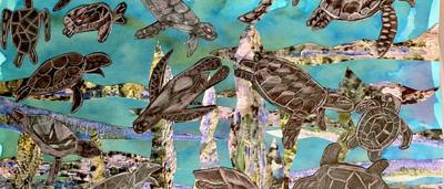 Green sea turtles swimming, playing in clear water.