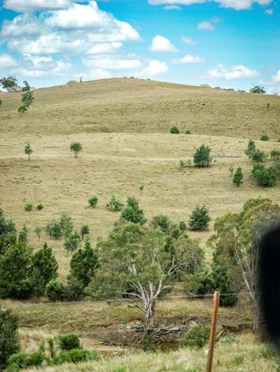 Two men smiling, outdoors. One holds a microphone. Background: trees and sky.
