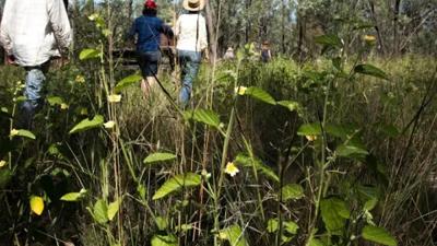 A colorful graphic with text and shapes, likely a design or poster.