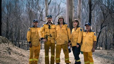 Header image: Bushfire petition, text on a dark background, with a burning forest illustration.