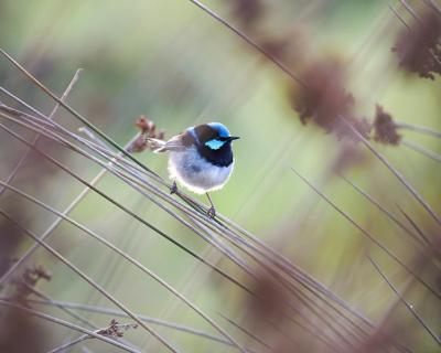 Header image: Person in nature, smiling, with trees and sky.