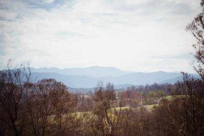 Beekeeper in protective gear amidst smoky bushfire scene.