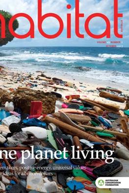 Header image: Lush green canopy, trees, sunlight filtering through leaves.