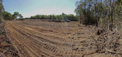 Header image: Queensland landscape, clearing, trees, blue sky.