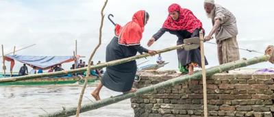 Woman in sari, rice field, Bangladesh.