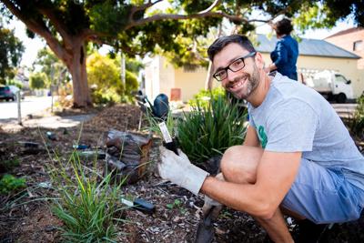 Group planting trees, Friends of Edward St, sunny day.