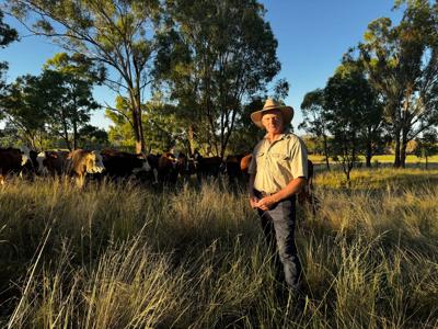 Woman in a field, holding a camera, smiling. Sunlit, blurred background of trees.