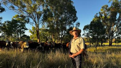 Woman in a field, holding a camera, smiling. Sunlit, blurred background of trees.