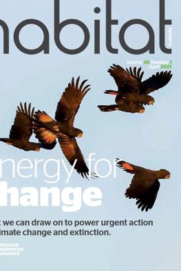 Header image: Lush green forest canopy, sunlight filtering through leaves.