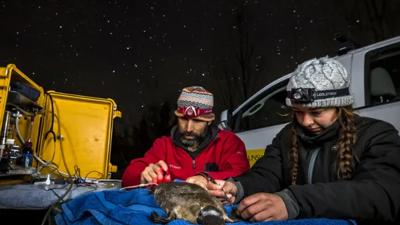 A colorful graphic with text and shapes, possibly a design or illustration.