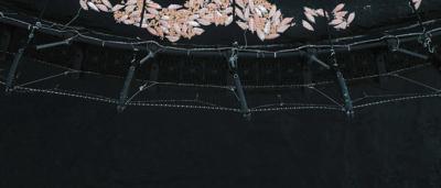 Salmon pens in Roaring Beach, Tasmania.