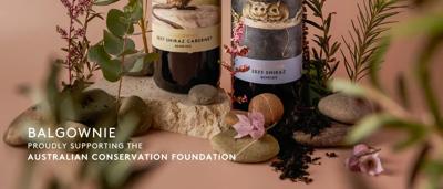 Promotional tiles of Balgownie Wine x ACF collection