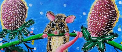 Hanging on a tree branch, a koala clings tightly.