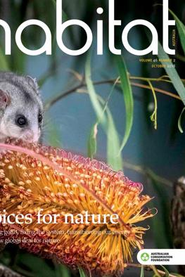 Green canopy over a forest, ACF logo in the corner.