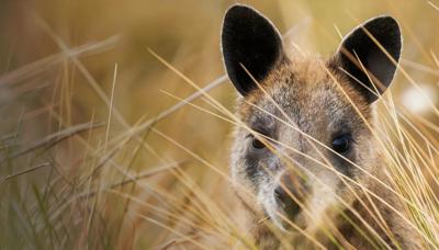 200326 - habitat March 2026 - Hero banner