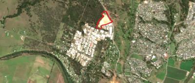 A vibrant graphic with text and shapes, featuring a stylized tree and abstract elements.