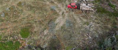 Agricultural land clearing, aerial view. Bulldozers, trees, and cleared fields.