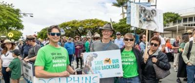 Toondah Harbour boardwalk, water, mangroves, and sky.