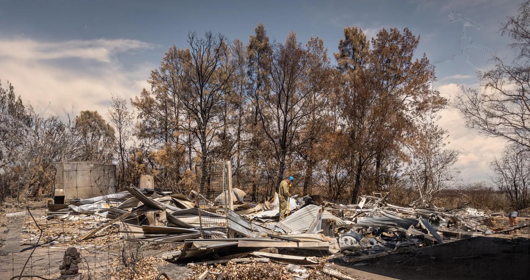 The burnt landscape at Upton Hill — background