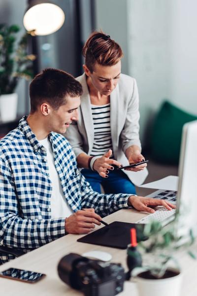 Green canopy of trees, sunlight filtering through leaves.