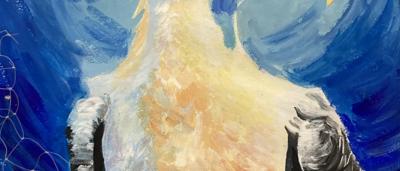 Yellow-nosed albatross, Indian Ocean, cotton, bird, close-up, white head, black and yellow beak.