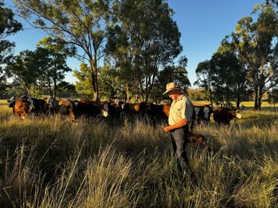 Woman in white shirt, smiling, holding a camera, standing in front of a green forest.