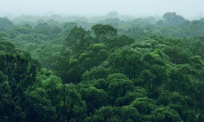 Woman in a white coat, holding a plant, smiling, in a lab setting.