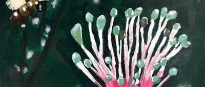Match stick Banksia Chloe H age 11 - Best Plant 1st place