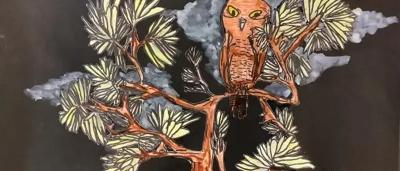 Christmas Boobook at night by Matthew age 7 - Highly commended