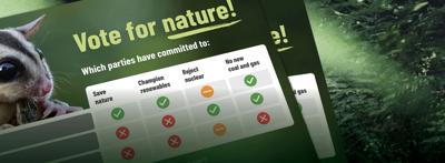 Website header: green canopy, text "Canopy", ACF logo, navigation menu.