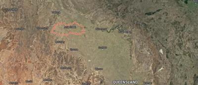 Woman in a field, holding a sign, smiling. Trees and sky in the background.