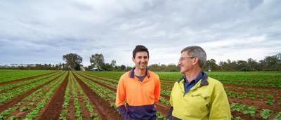 Farmers standing in a field, some with hats, looking at crops.