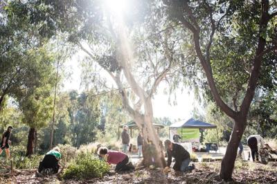 Header image: Lush green forest scene, sunlight, text "Nature Outreach".