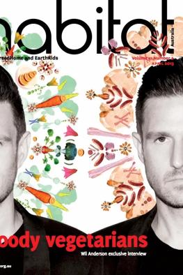 Green canopy of trees, sunlight filtering through leaves.