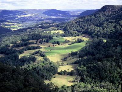 Farmland landscape, green fields, blue sky, distant trees, sunny day.