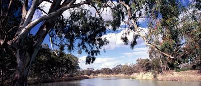 River landscape, Katarapko, post-win, Murray River, trees, water, sky.