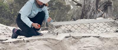 Person in a forest, sunlight through trees, nature scene.