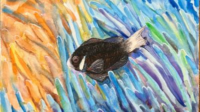 Little-Black-Spirit-of-the-Sea-Mingxi-9 - Second place age 8-10 Wild At Art 2026
