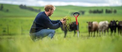 Woman in a field, holding a bouquet of flowers, sunny day.