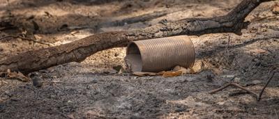 20260119 Jim Billings Home Bushfire in Avenel VIC-75