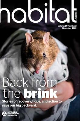 Header image: Lush green forest canopy, sunlight filtering through leaves.