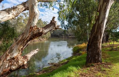 A wide river flowing through a lush green landscape under a bright sky.