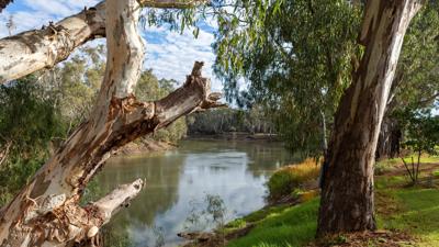 A wide river flowing through a lush green landscape under a bright sky.