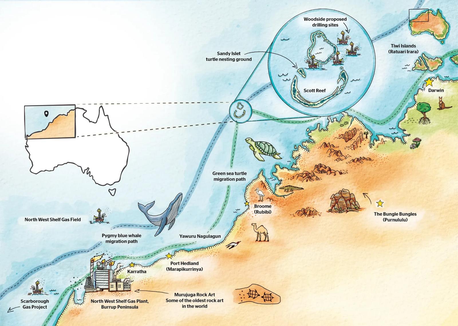 Illustrated map showing Scott Reef north-west of Broome, proposed Woodside drilling sites, turtle and whale migration paths, and the North West Shelf gas plant on the Burrup Peninsula.