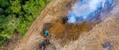 Habitat destruction image: Deforestation scene, felled trees, barren landscape, environmental damage.