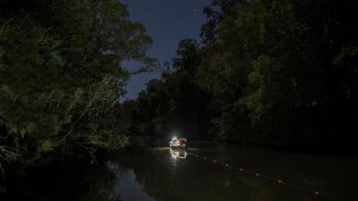 Man, Stuart Cohen, smiling, outdoors, Taree, header image.
