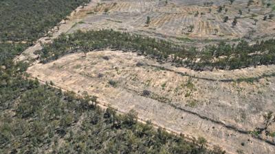 DJI_0319 Drone aerial photo of land clearing in Cuttabri